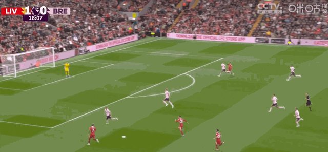 1724602774725092634.gif 罗伯逊.gif